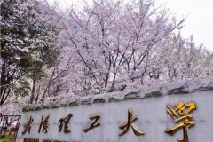 廣東MBA考研調(diào)劑武漢理工大學(xué)有什么條件？