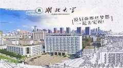 廣東MBA考研調(diào)劑湖北大學(xué)有什么條件？